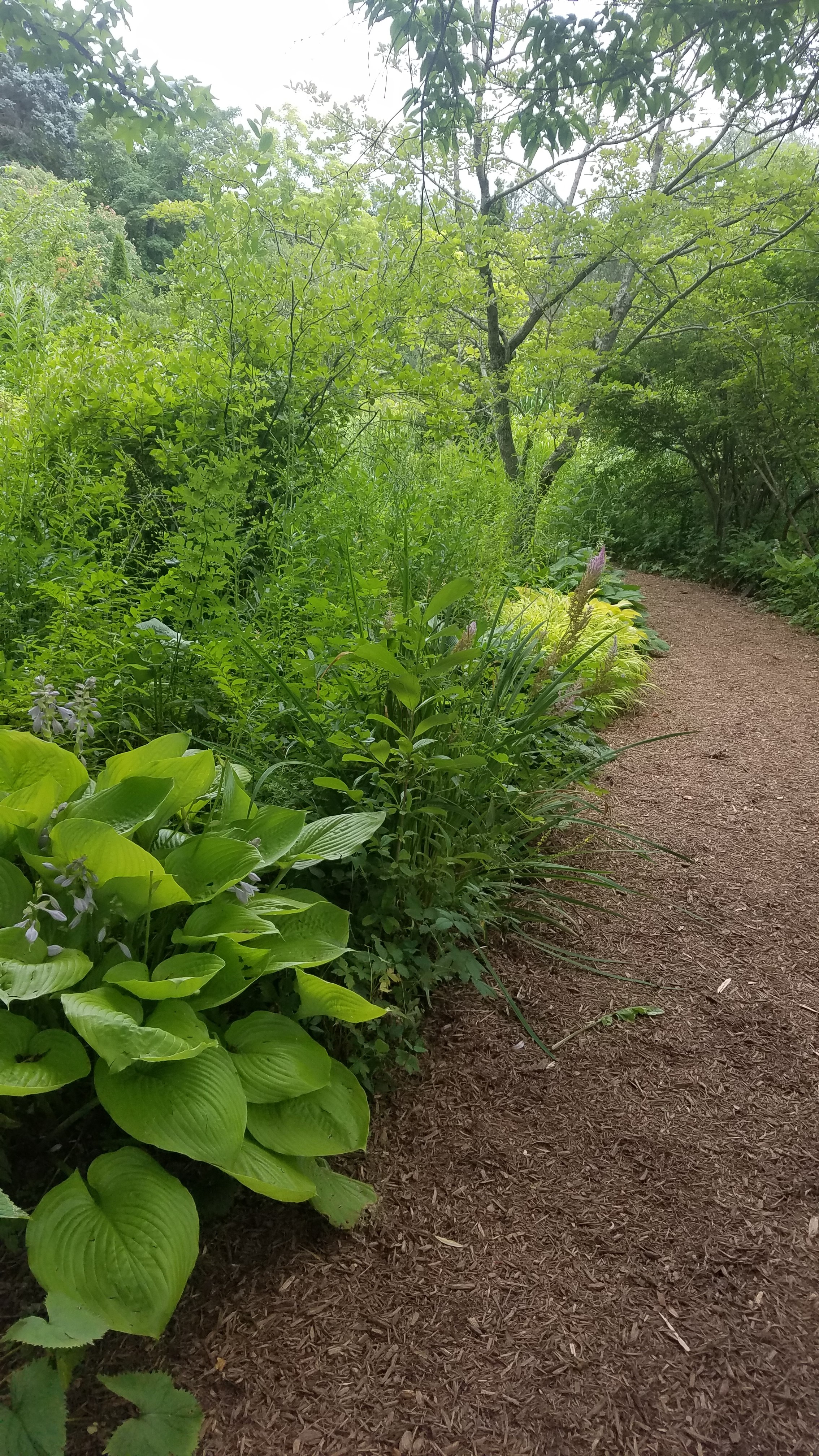 Garden Of Ideas Ridgefield CT Adventures Around Putnam
